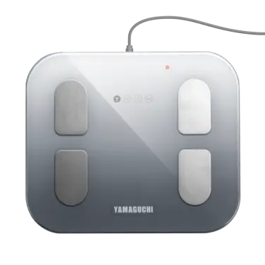 Yamaguchi Body Scale